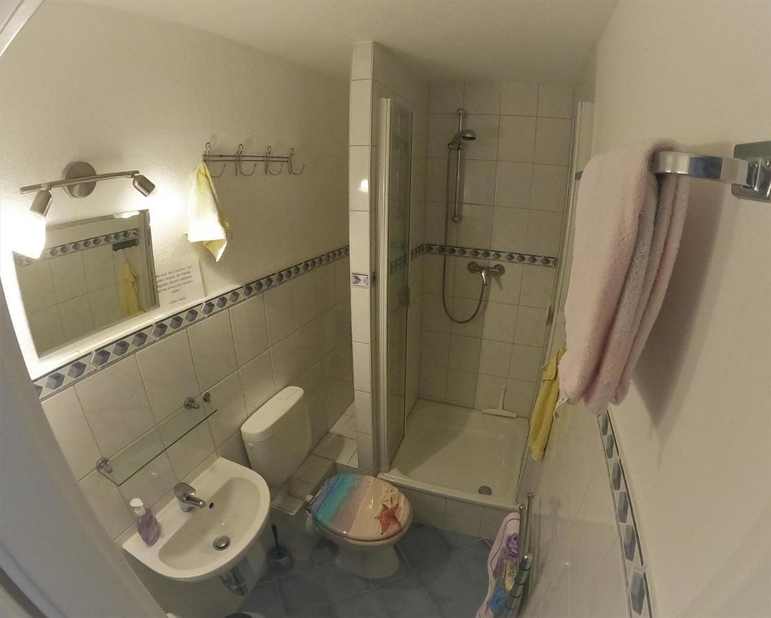 Ferienwohnung Haubner Neukieritzsch Екстер'єр фото